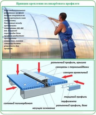 Теплица из поликарбоната своими руками: пошаговая инструкция, как сделать теплицу из поликарбоната Теплица из поликарбоната своими руками: пошаговая инструкция, как сделать теплицу из поликарбоната