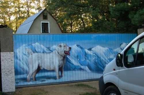 Как украсить забор из профнастила: интересные решения