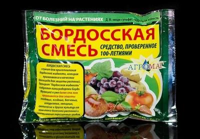 Василистник делавея — очаровательное украшение сада: выращивание и использование в дизайне