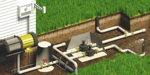 Как правильно поливать газон