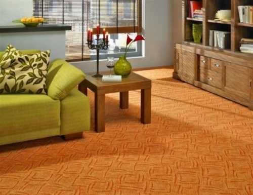 Какой ковролин выбрать для дома