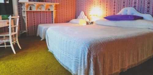 Какой ковролин выбрать для дома