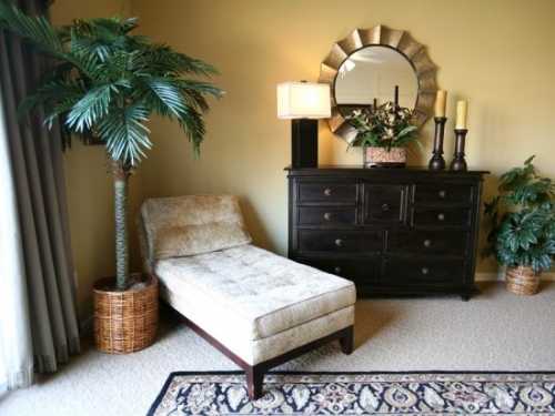 Зелёные растения для гостиной: лучшие идеи