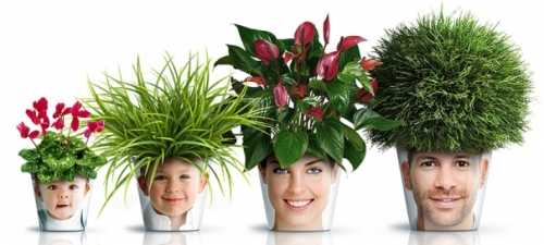 Декор цветочных горшков