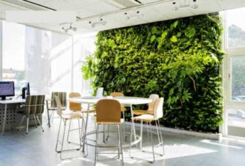 Модные тренды в оформлении офиса