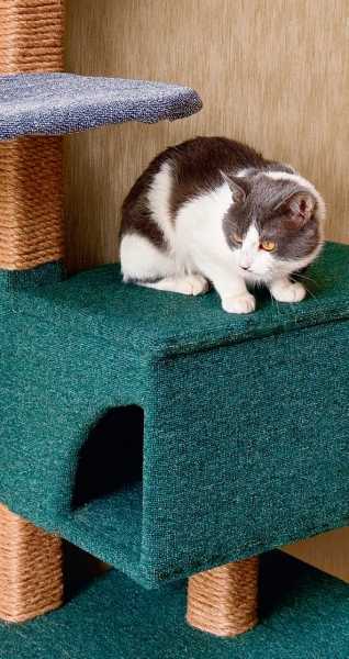 Как сделать когтеточку и домик для кошек Как сделать когтеточку и домик для кошек