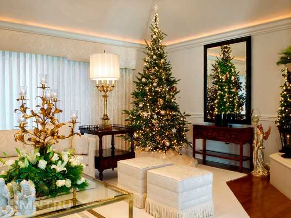 Готовимся встречать год Зелёного Деревянного Дракона
Готовимся встречать год Зелёного Деревянного Дракона